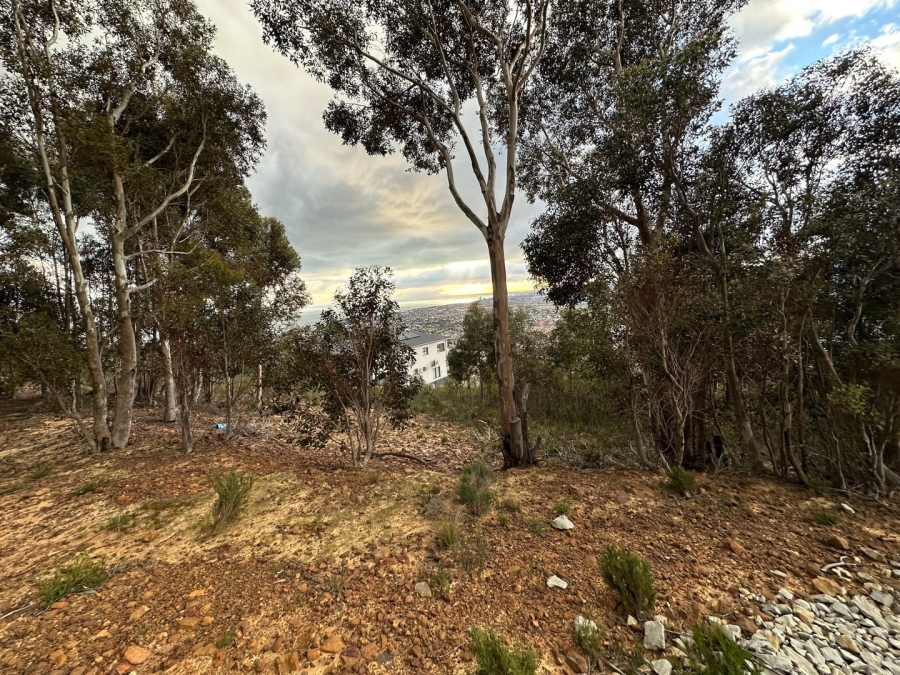 0 Bedroom Property for Sale in Mountainside Western Cape